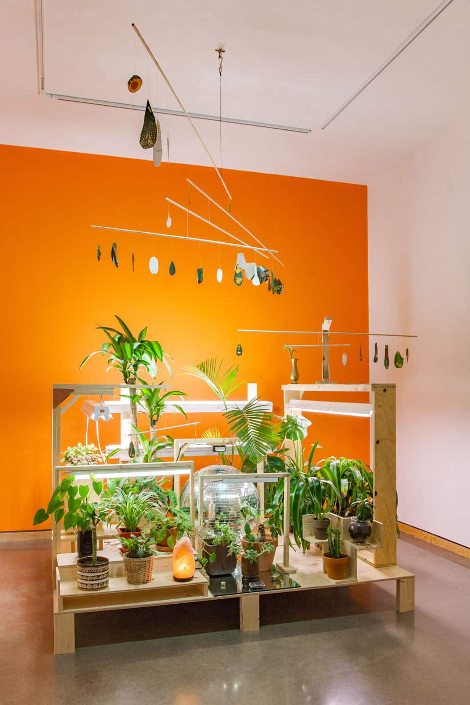  Gavin Lynch at Angell Gallery